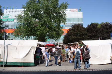 f0200015_03738.jpg