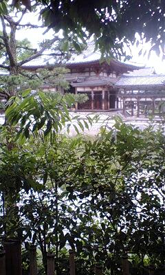 平等院_e0171018_22265371.jpg