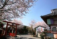 関東の水子地蔵寺 正式な個別での水子供養 東京都 神奈川県 埼玉県 千葉県 茨城県 栃木県から