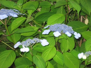 c0157523_971697.jpg
