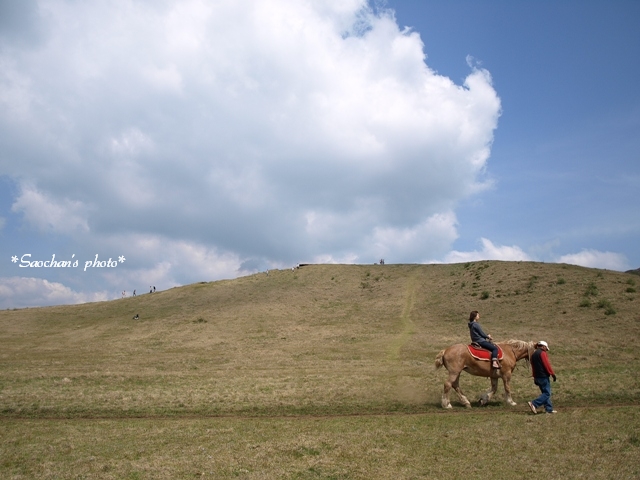 c0157624_041772.jpg