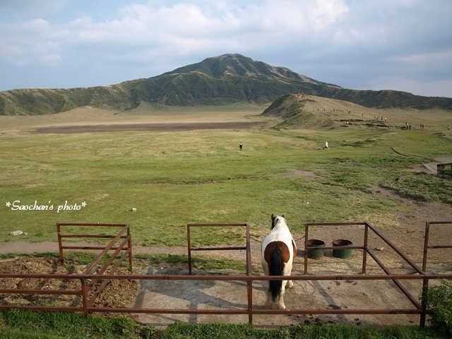 c0157624_04337.jpg
