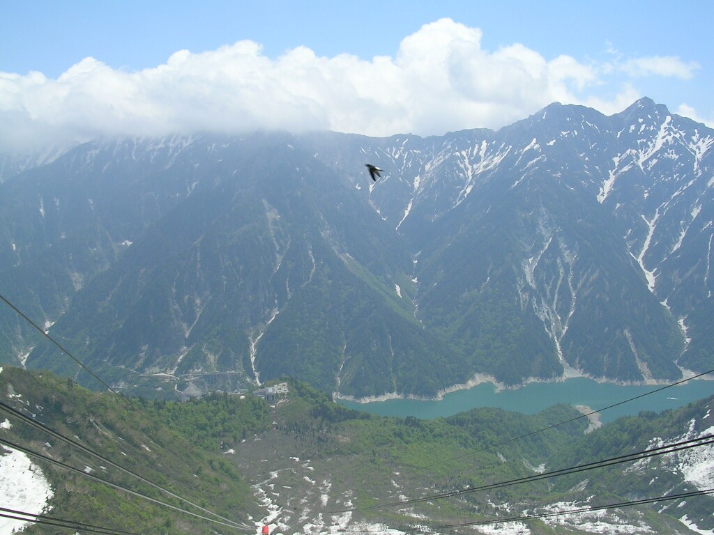 f0206425_2234843.jpg
