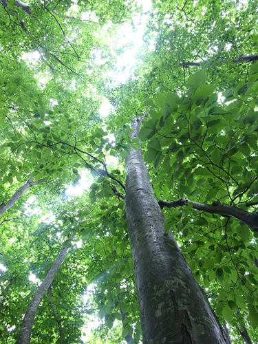 e0168232_2031158.jpg