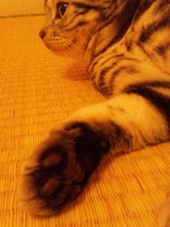 c0143333_2247495.jpg