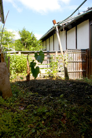 ＊体の中心が、とおっている_a0030038_1722505.jpg