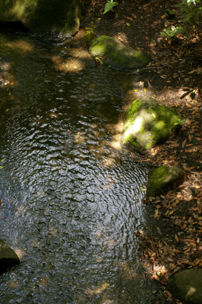 c0090139_19573665.jpg