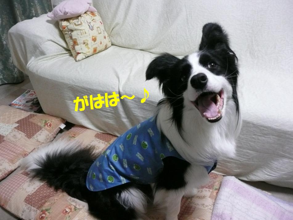 c0147241_21494741.jpg
