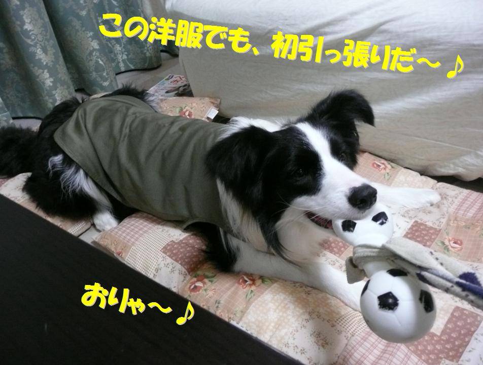 c0147241_21501913.jpg