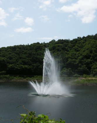 d0152549_2156511.jpg