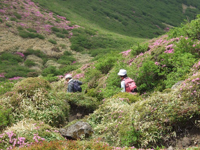 三股山（1745ｍ）_b0062950_19455620.jpg