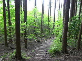 岩湧山～紀見峠のハズが天見へ_b0148050_21552535.jpg