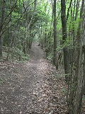 b0148050_2155361.jpg