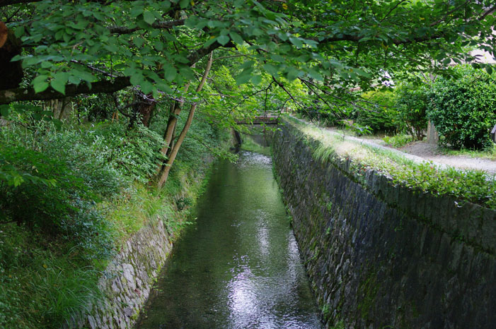 ホタルを撮りに..._f0152550_10384384.jpg