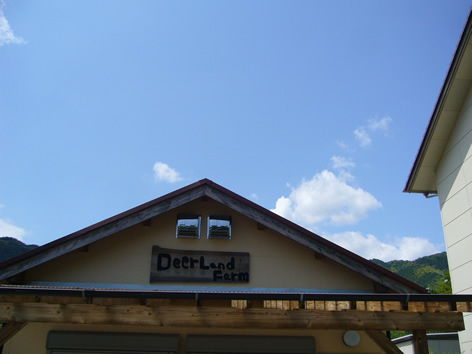 ”Deer Land Farm”のソフトクリームに唸る_f0067354_0213879.jpg