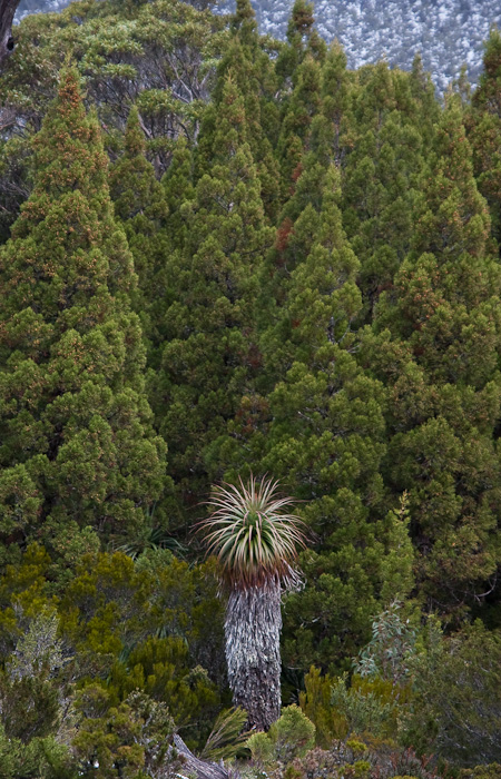f0137354_12291819.jpg