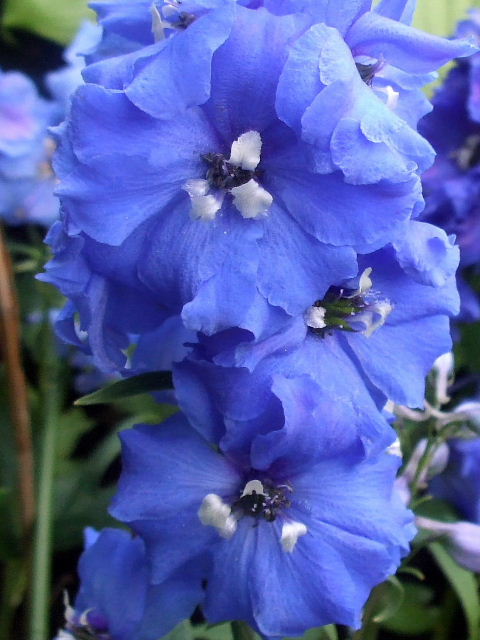 b0067569_1404212.jpg