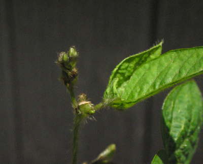 b0138369_11151259.jpg