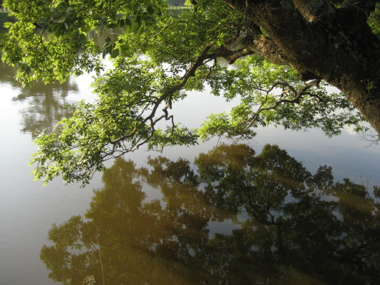 c0097371_15223638.jpg