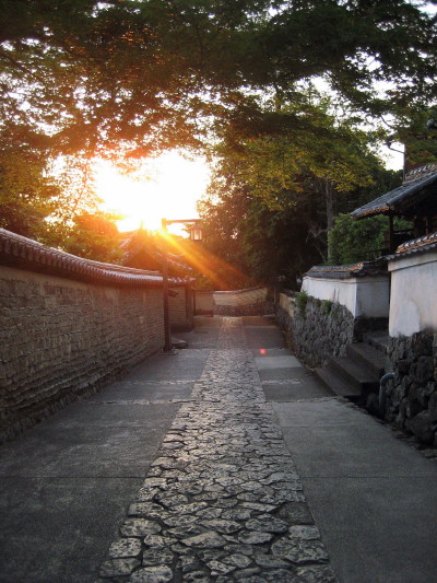 c0097371_15364493.jpg