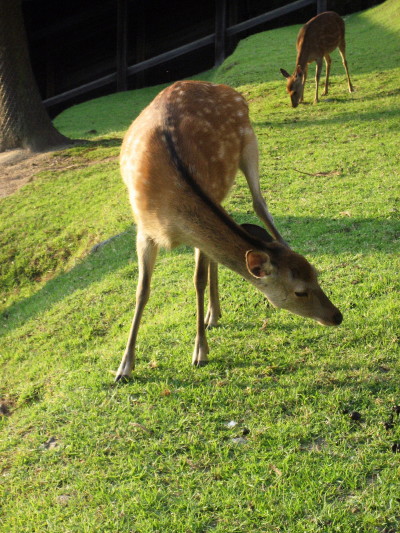 c0097371_16161669.jpg