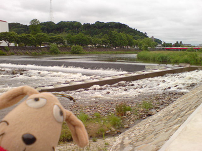 c0158573_11192747.jpg