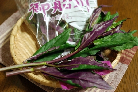 水前寺菜 明暮日の茶ばしら 水前寺菜 明暮日の茶ばしら
