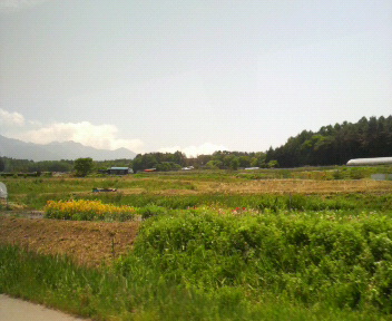 b0129280_1148440.jpg