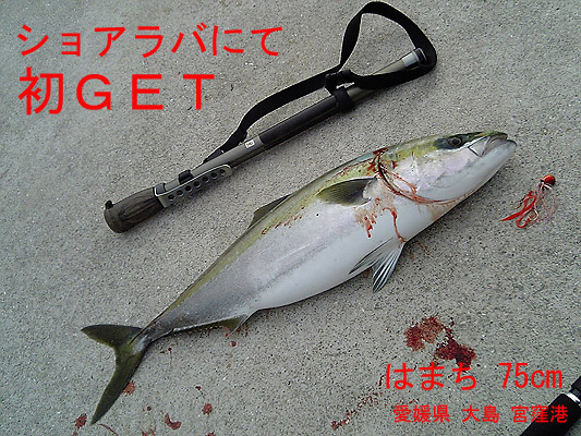 ショアラバにて初ｇｅｔ 09 6 気ままな Digital Photo