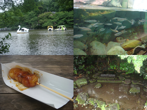 井の頭公園で~♪_d0132289_2257215.jpg