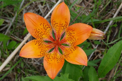 f0159390_15561643.jpg