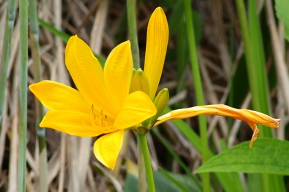 f0159390_1735868.jpg