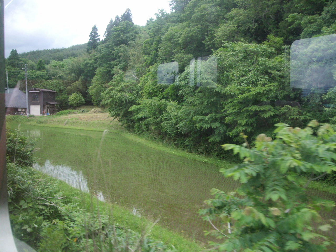 権現森山☆初夏の風景_f0100593_15523412.jpg