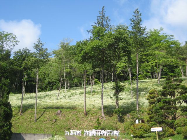 c0099395_8553969.jpg