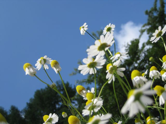 c0099395_8555226.jpg
