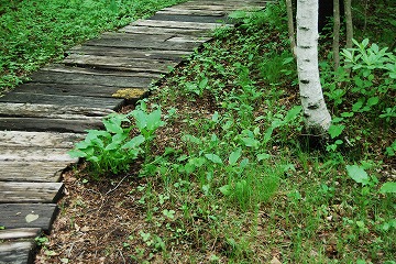 c0124100_1215512.jpg