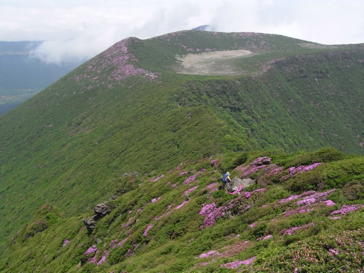 f0187402_2034015.jpg