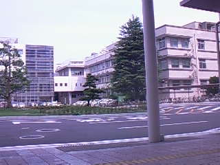 f0103304_14543836.jpg