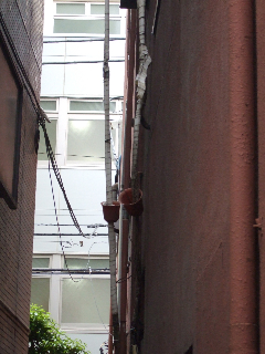 c0191005_20434386.jpg