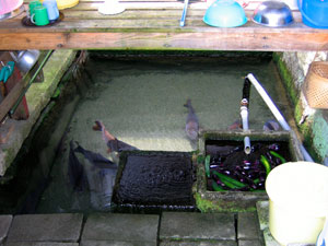 f0155409_9464881.jpg