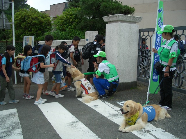 富士ドッグサポーターズクラブのテレビ取材_f0141310_23303159.jpg