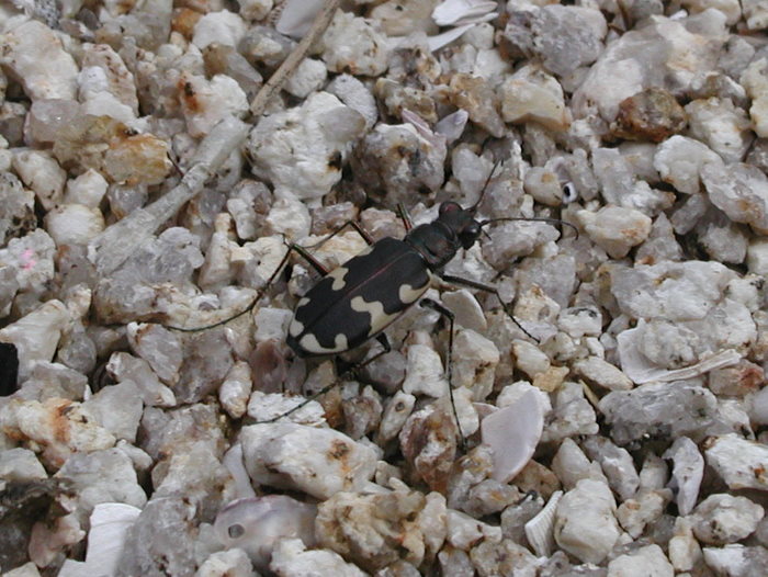 c0116915_23301013.jpg
