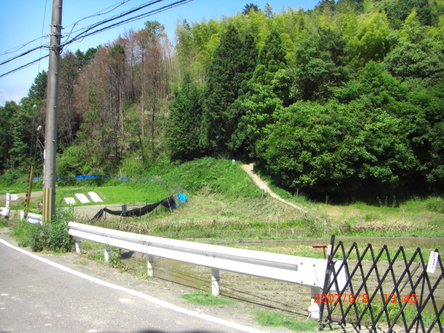 天王山～善峰寺_e0171018_21305100.jpg