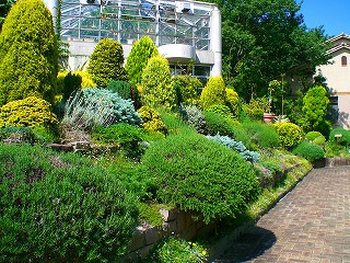 植物園の花たち_e0150719_9305597.jpg