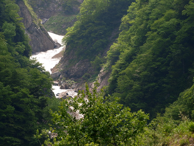 20090607  北ア散歩：クモツキ求愛行動と水無月ギフ （長野県）_d0090322_2210752.jpg