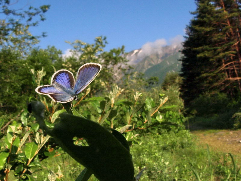 d0090322_2213365.jpg