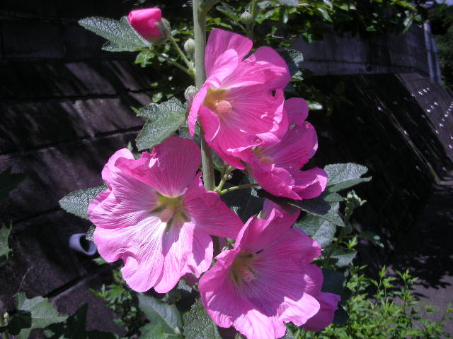 送別会_c0155326_1004992.jpg