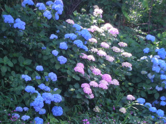 送別会_c0155326_9551838.jpg