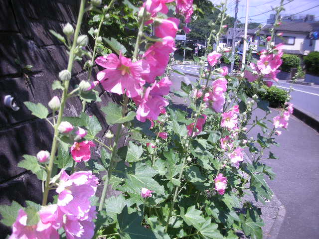 送別会_c0155326_959542.jpg