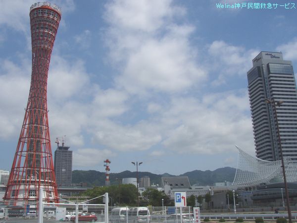 a0120530_1755879.jpg